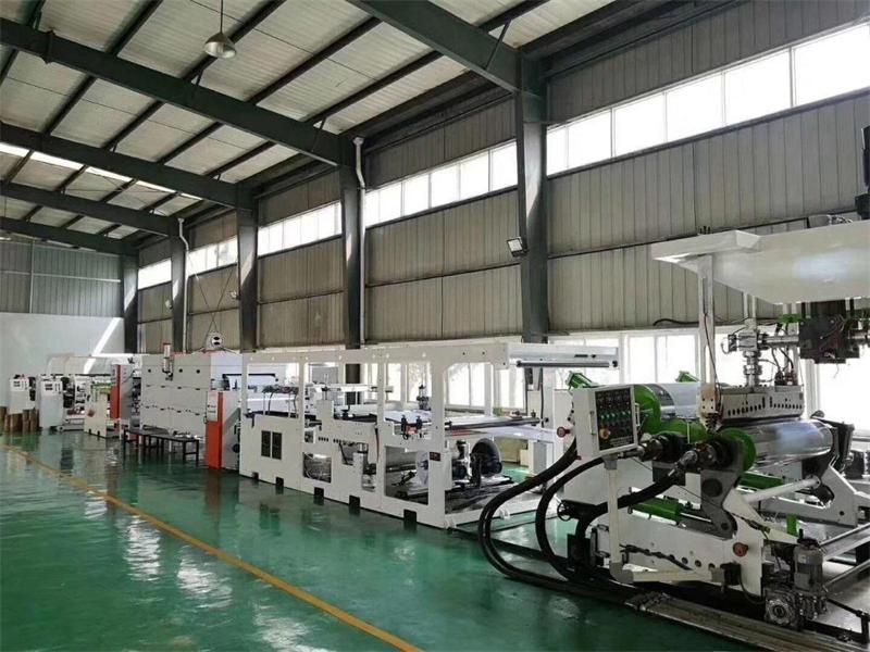 800 kg/h PET twin-screw sheet line exported to South Korea smooth acceptance